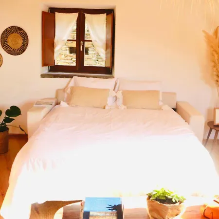 Casa Do Ti Tote Holiday home Talasnal