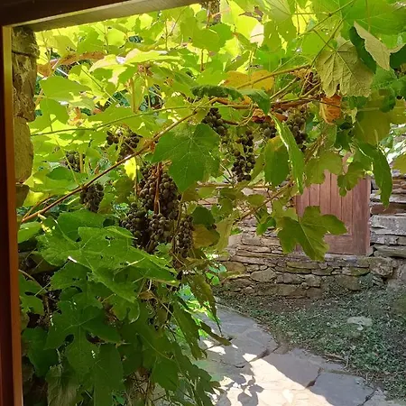 Tatil Evi Casa Do Ti Tote Talasnal