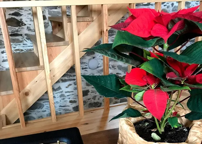 Prázdninový dům Casa Do Ti Tote